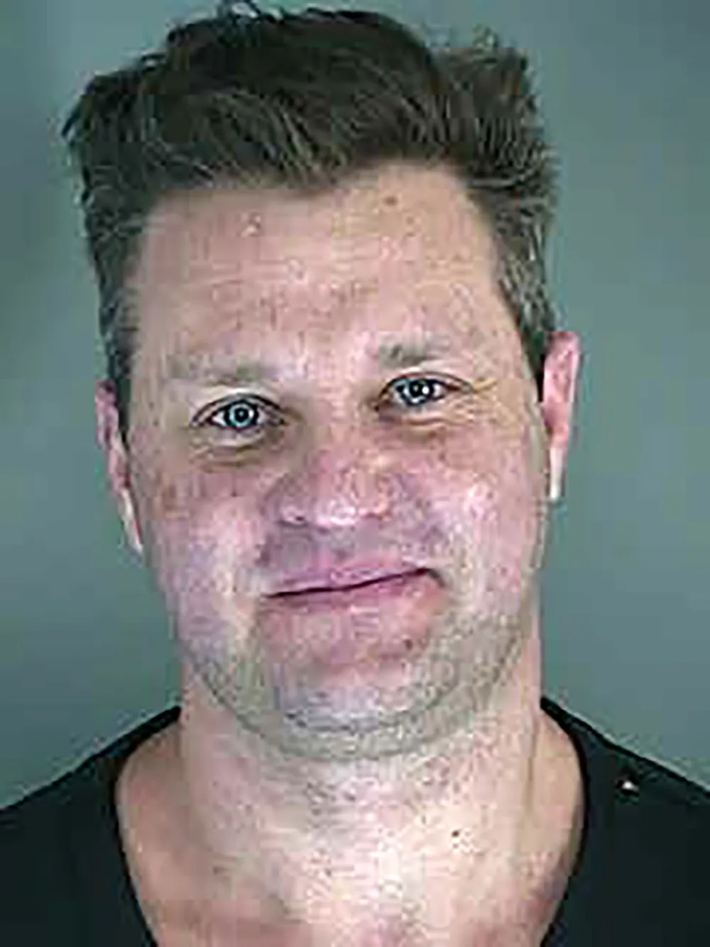 'Replica Luxury Handbag Improvement' Alum Zachery Ty Bryan Pleads Guilty to Felony Assault