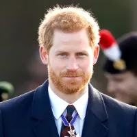 prince harry bio page