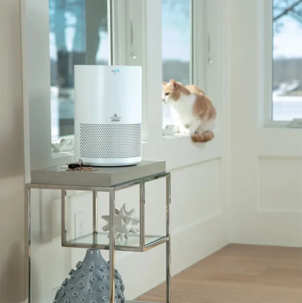 wayfair-way-day-air-purifier