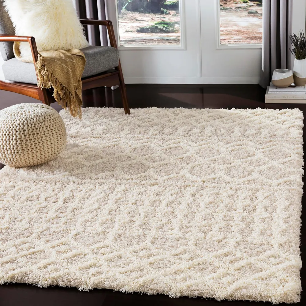 shag area rug