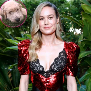 Brie Larson Reveals Rescue Dog Six-Thirty Chose His Own 'Riduculous' Name: 'His Vet Is Confused'