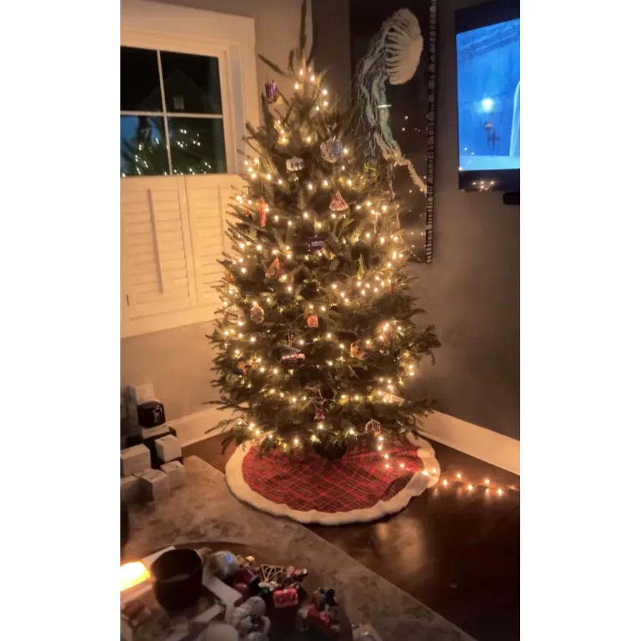 Celebs Decorate for Christmas 2023