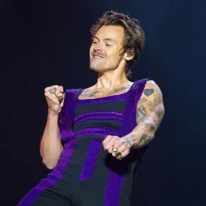 Harry Styles Fans Are in Mourning After Singer Shaves Off His Beloved Curls 495