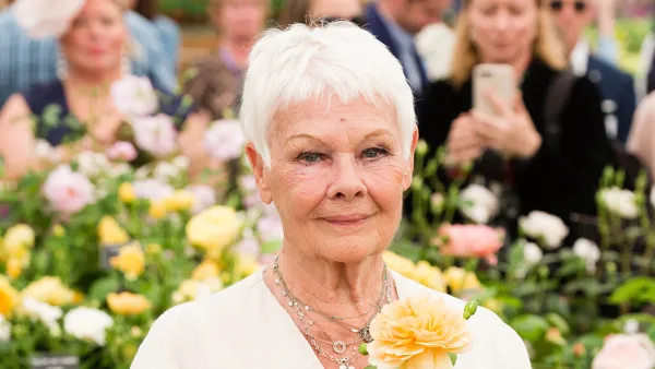 Judi Dench Through the Years