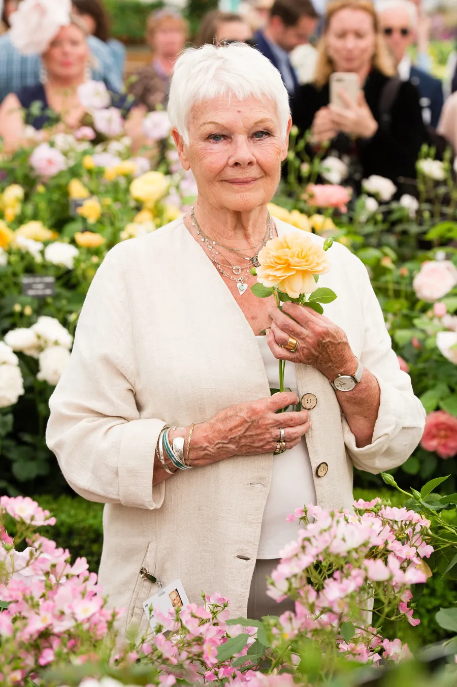 Judi Dench Through the Years
