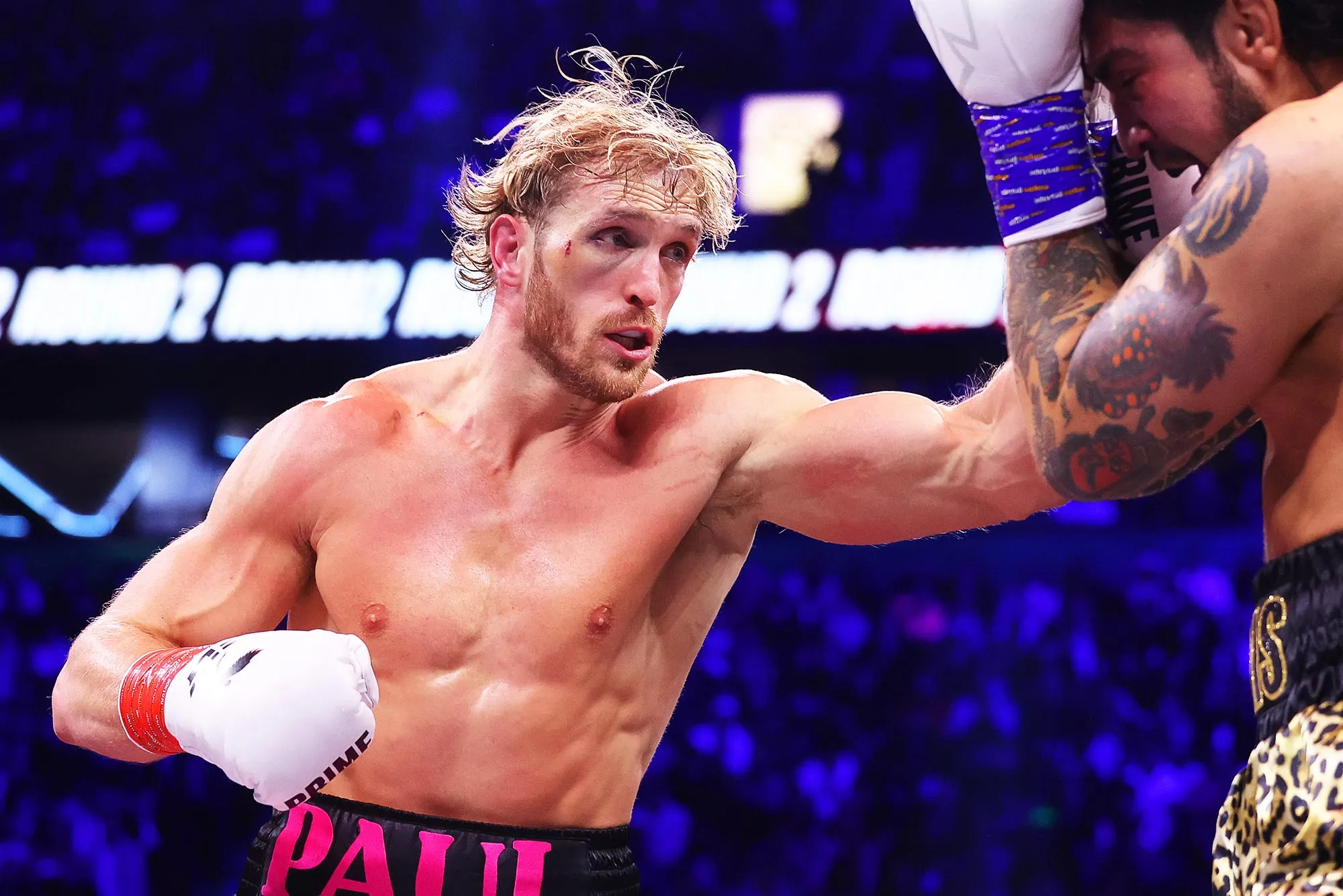 Logan Paul s Ups and Downs Over the Years Suicide Forest Vlog Fraud Allegations and More 208