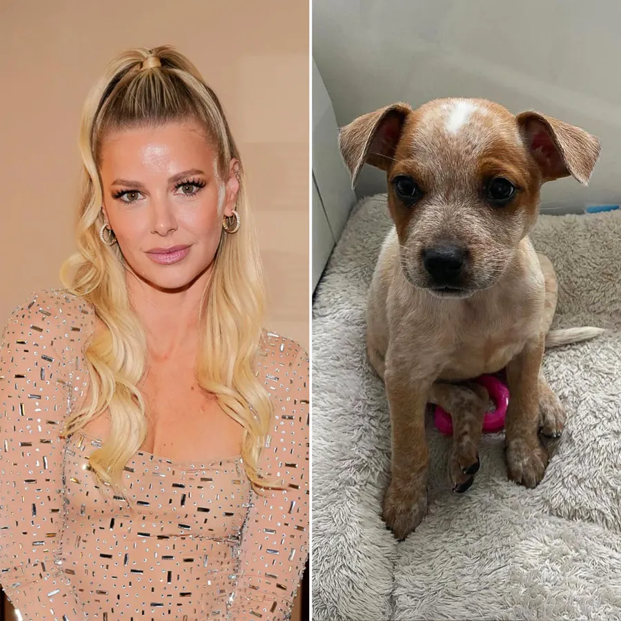Meet the NY Animal Rescue That Named Their Dogs After Bravo Stars From Pump Rules to Below Deck Ariana Madix