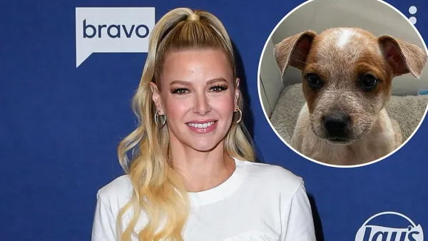 Meet the NY Animal Rescue That Named Their Dogs After Bravo Stars From Pump Rules to Below Deck GettyImages 1775693548