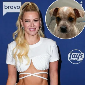 Meet the NY Animal Rescue That Named Their Dogs After Bravo Stars From Pump Rules to Below Deck GettyImages 1775693548