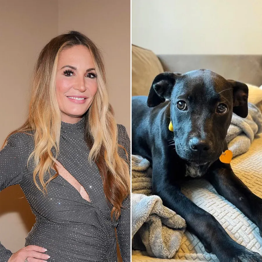 Meet the NY Animal Rescue That Named Their Dogs After Bravo Stars From Pump Rules to Below Deck Kate Chastain
