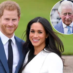 Prince Harry and Meghan Markle s Birthday Phone Call to Charles Was Big Step in Healing Relationship 113