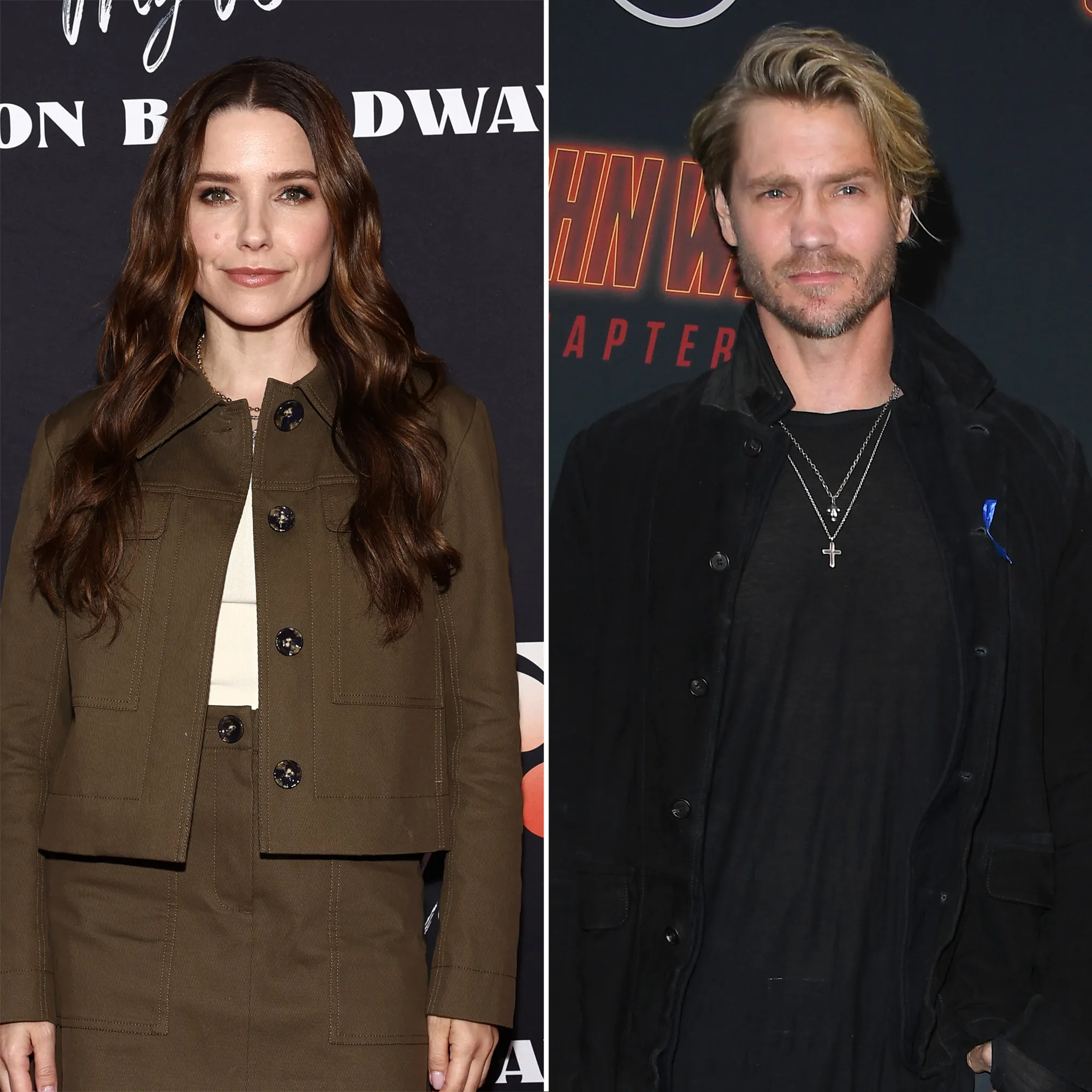 Sophia Bush Posts Toxic Relationship Meme After Chad Michael Murray Drama Resurfaces