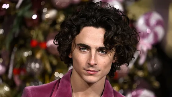 Timothee Chalamet Used A Lot of Auto Tune for Wonka