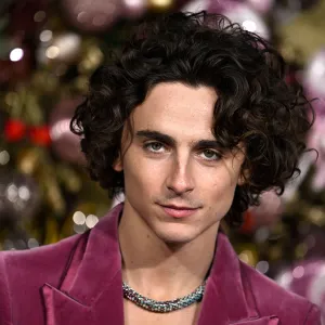 Timothee Chalamet Used A Lot of Auto Tune for Wonka