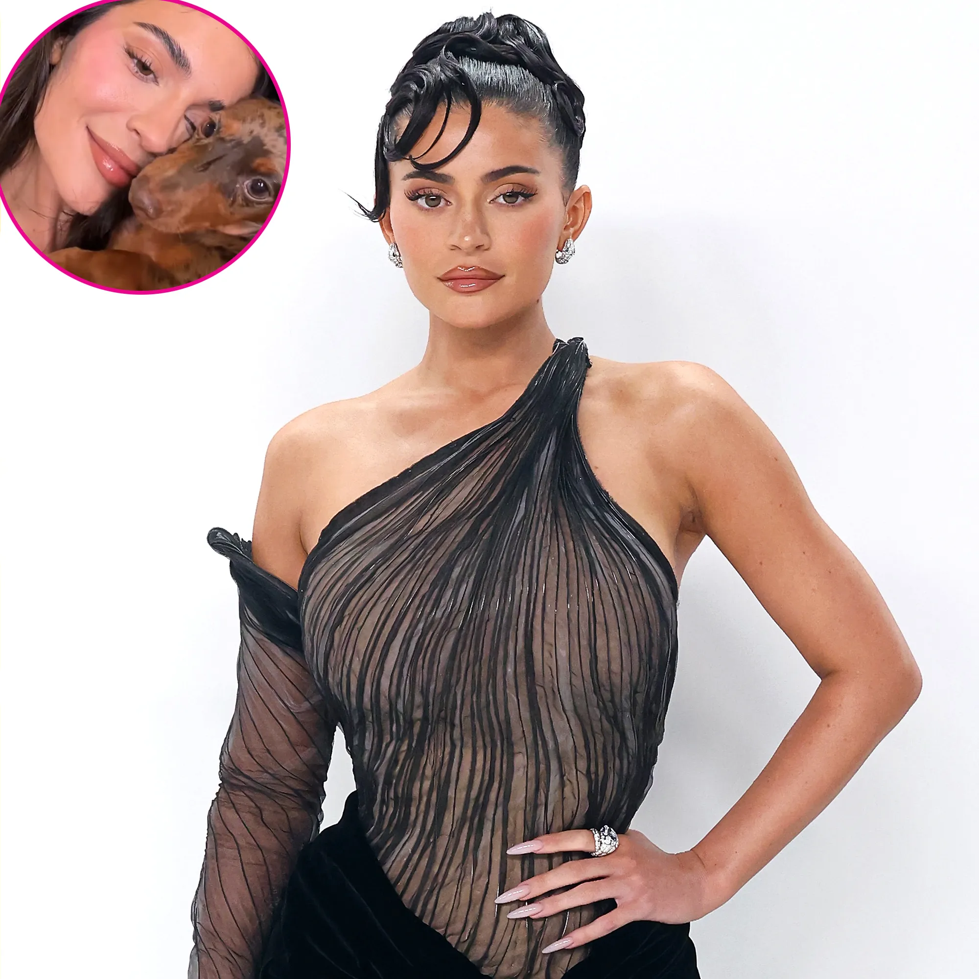 Kylie Jenner Introduces New Puppy: A Guide to the Kardashian-Jenners' Dogs