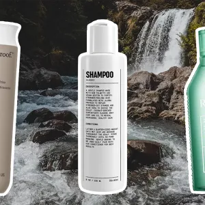 The Best Shampoos for Oily Scalp and Dry Ends