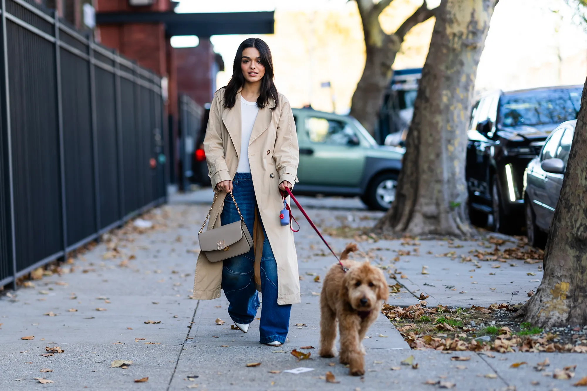 Rachel Zegler walking her dog in Long Island City on November 02, 2023.