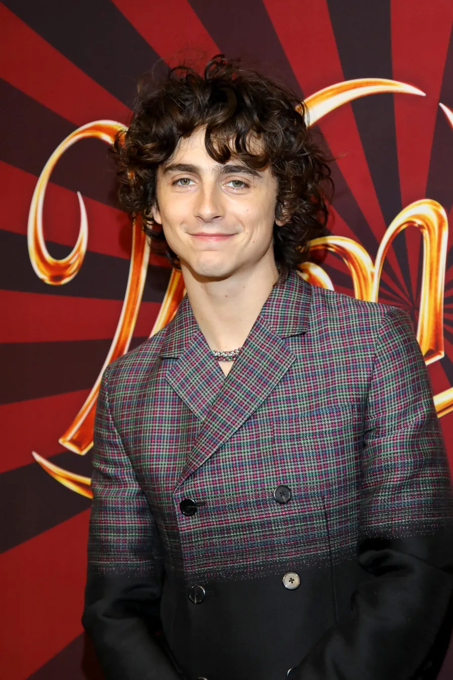 Internet Boyfriends of 2023 Ranked 383 Timothee Chalamet