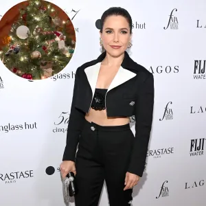 Celebrities Decorate for Christmas 2023