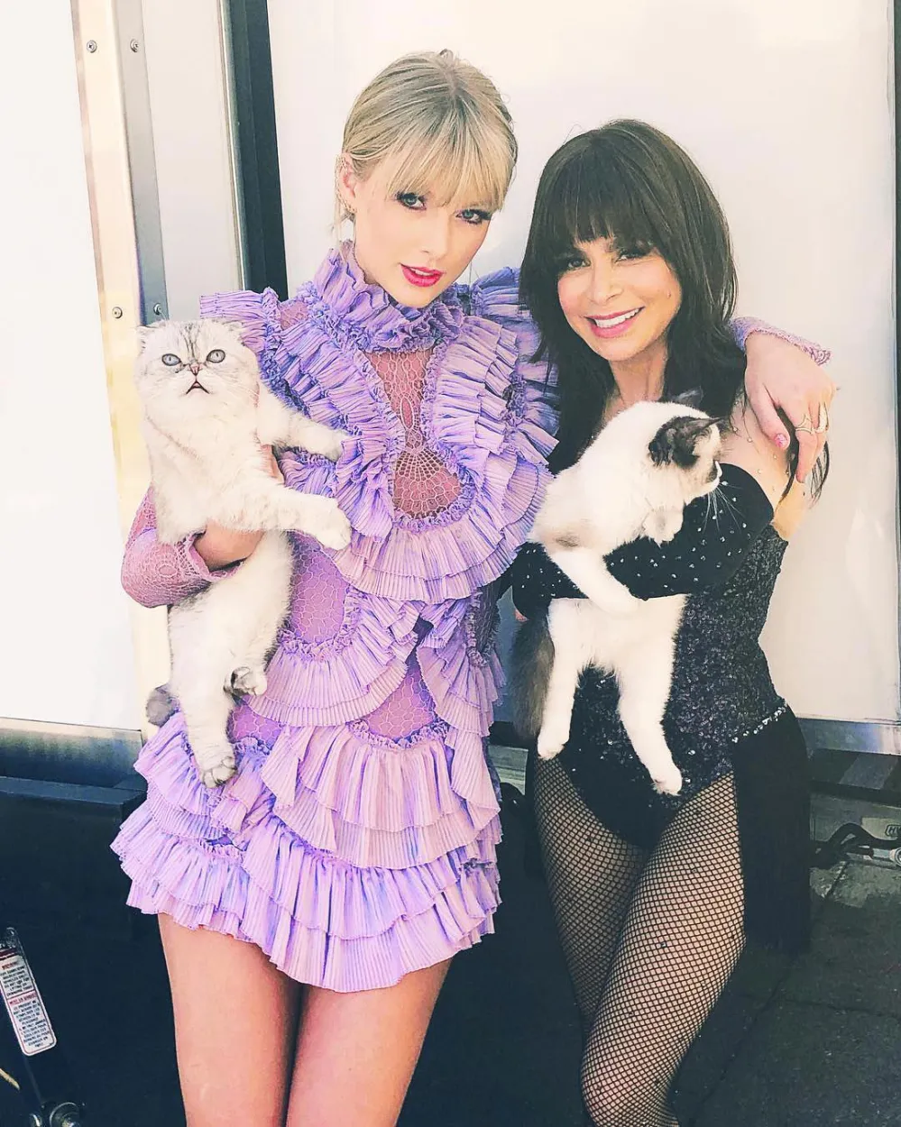 Taylor Swift s Cat Benjamin Button Steals the Show on Time 2023 Cover A Guide to Her Pets 923