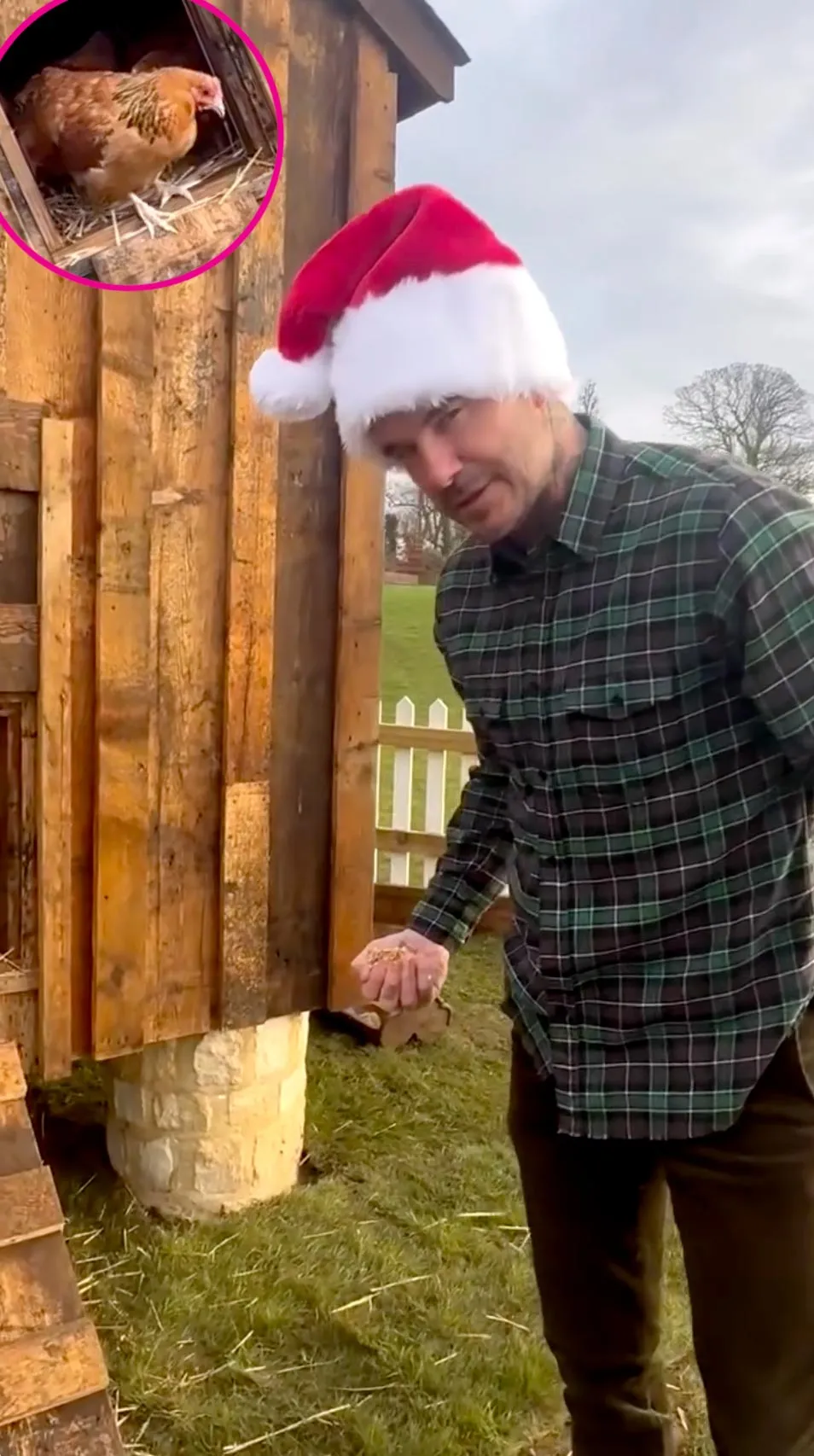 Victoria Beckham Gifts Husband David Beckham Chickens for Christmas: &lsquo;They&rsquo;re a Bit Camera Shy&rsquo;