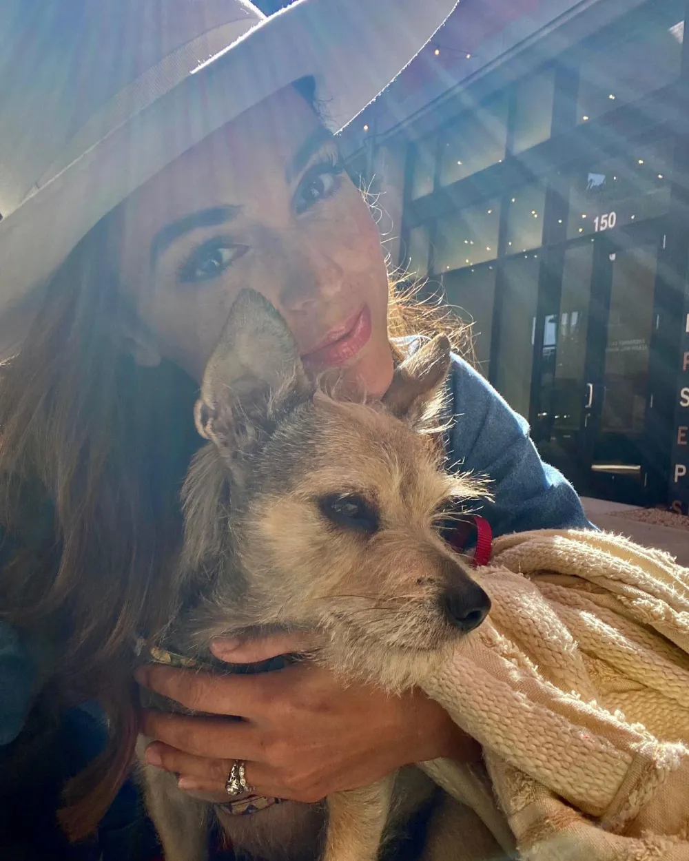 Who Is Hallmark Channel Erin Cahill 5 Things to Know 3