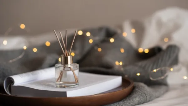 Best Aromatherapy Books