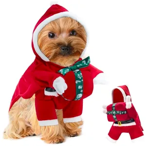 Cutest Dog and Pet Christmas Outfits