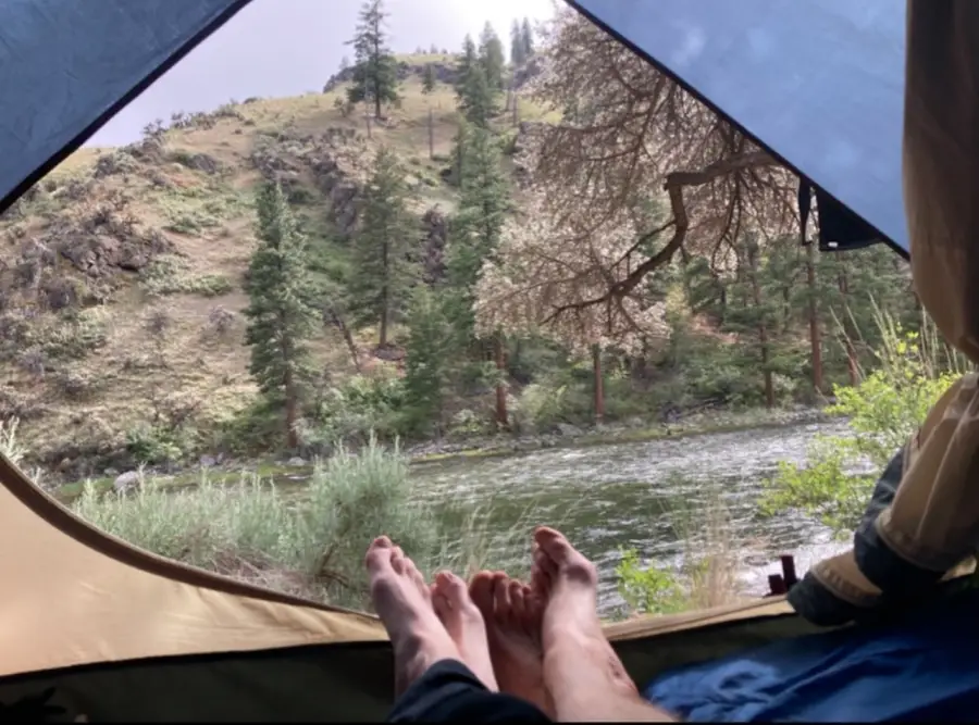 Julia Roberts Timeline