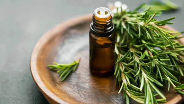 Best Rosemary Oil