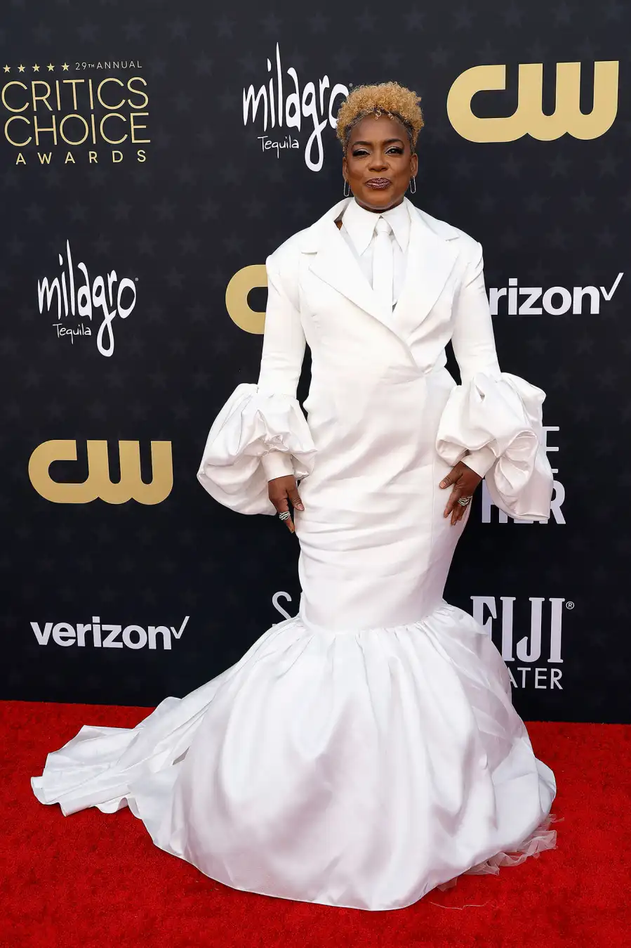 Aunjanue Ellis-Taylor Red Carpet Arrival 2024 Critics Choice Awards