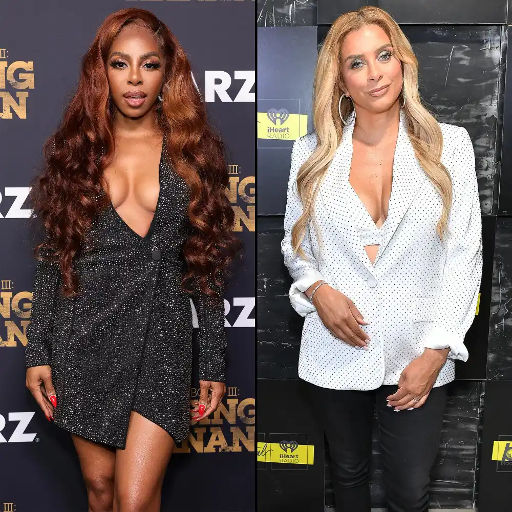 Candiace Dillard Basset Calls Robyn Dixons Comments About Chris Bassett Gut Wrenching