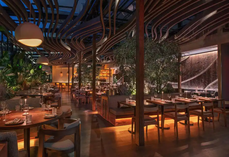 Heidi Montag Swears By Hydroxycut s Hardcore Ultra Shred Drink Sticks to Lose Weight 995