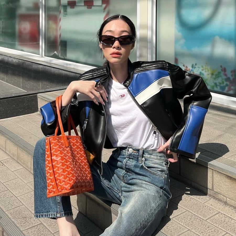 goyard prices 2023,how much is goyard,Goyard Saint Louis,Goyard Tote Prices 2024