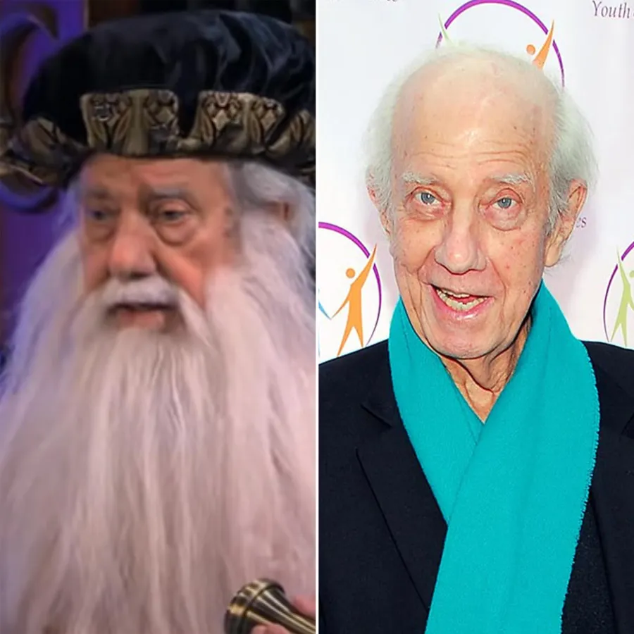 The Cast of Disney Channels Wizards of Waverly Place Where Are They Now