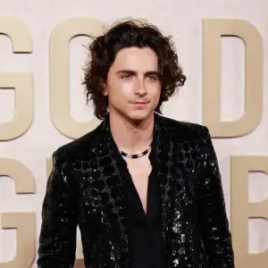 Kylie Jenner and Timothee Chalamet Make Red Carpet Debut at 2024 Golden Globes 831