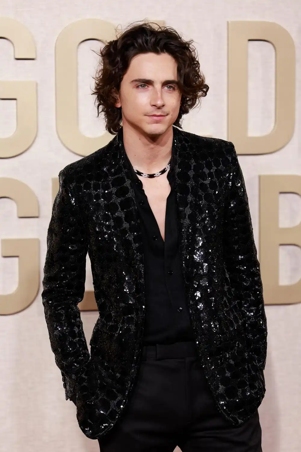 Kylie Jenner and Timothee Chalamet Make Red Carpet Debut at 2024 Golden Globes 831
