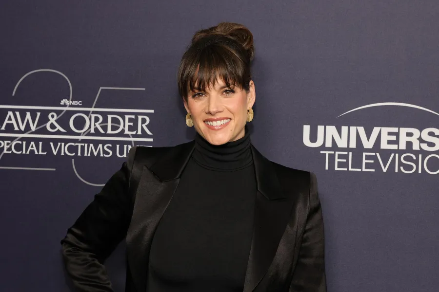 Law and Order Franchise Stars Share the Most Iconic SVU Guest Stars Over 25 Seasons