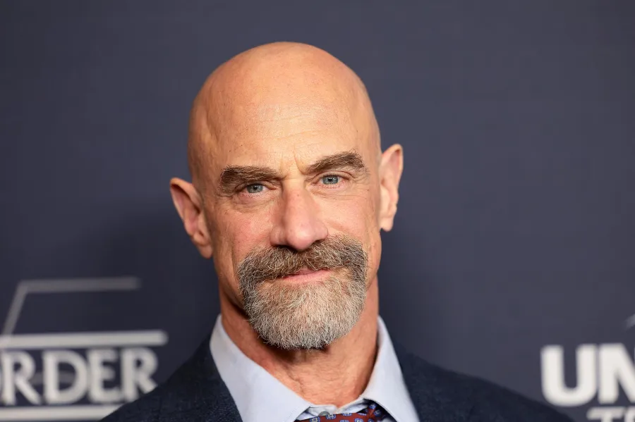 Law and Order Franchise Stars Share the Most Iconic SVU Guest Stars Over 25 Seasons