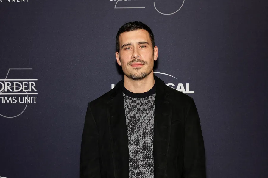 Law and Order Franchise Stars Share the Most Iconic SVU Guest Stars Over 25 Seasons