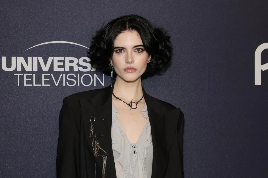 Law and Order Franchise Stars Share the Most Iconic SVU Guest Stars Over 25 Seasons