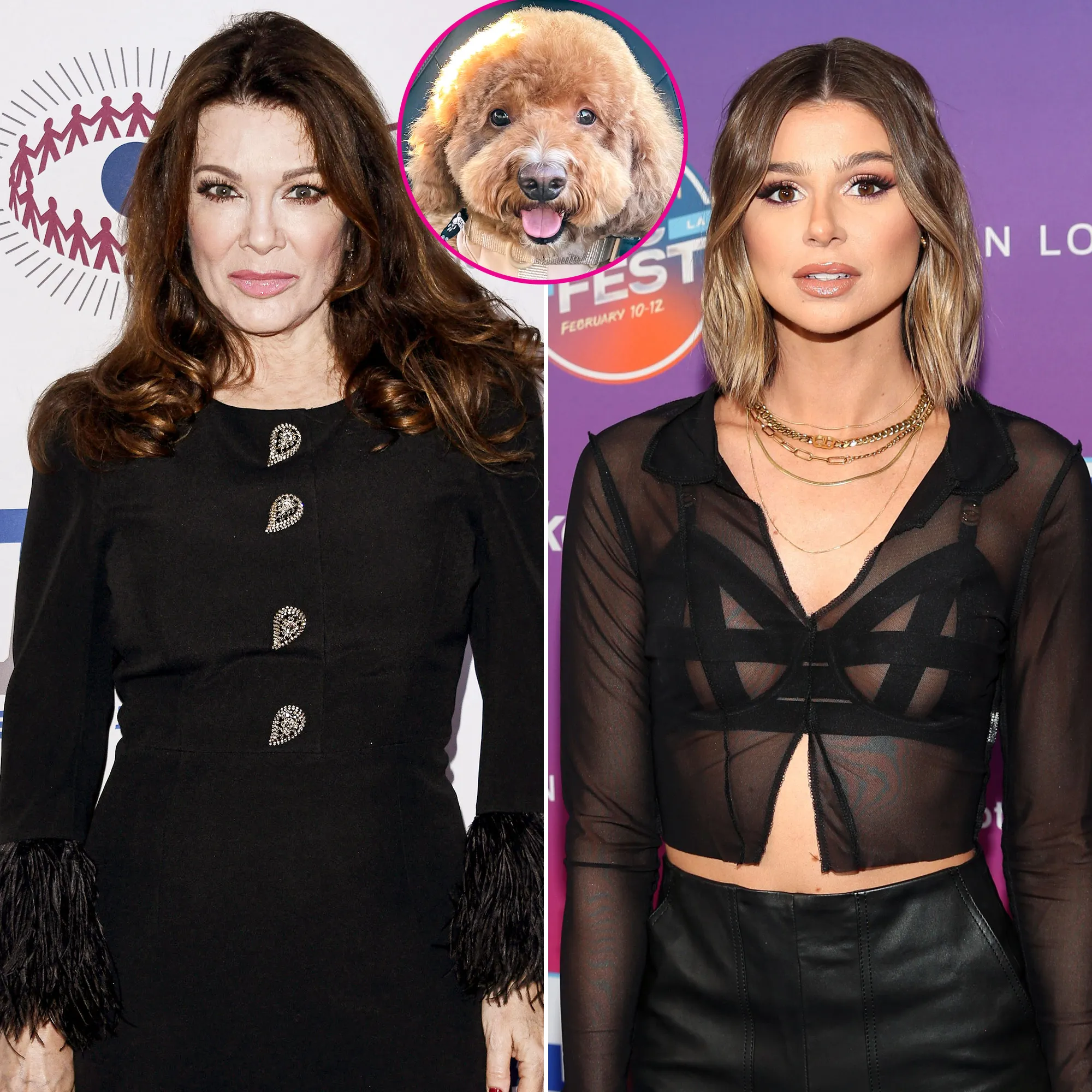Lisa Vanderpump Says Raquel Leviss Needs to Get Her Facts Straight About Dog Graham's Rehoming Drama