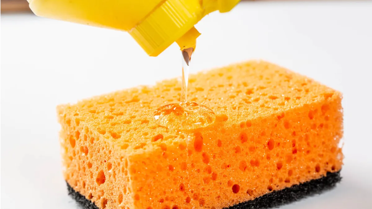 Dishwashing detergent and a sponge
