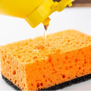 Dishwashing detergent and a sponge