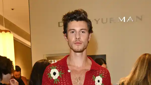 Shawn Mendes Reveals Extreme Anxiety Over Making Perfect Music in New Video of Him Singing