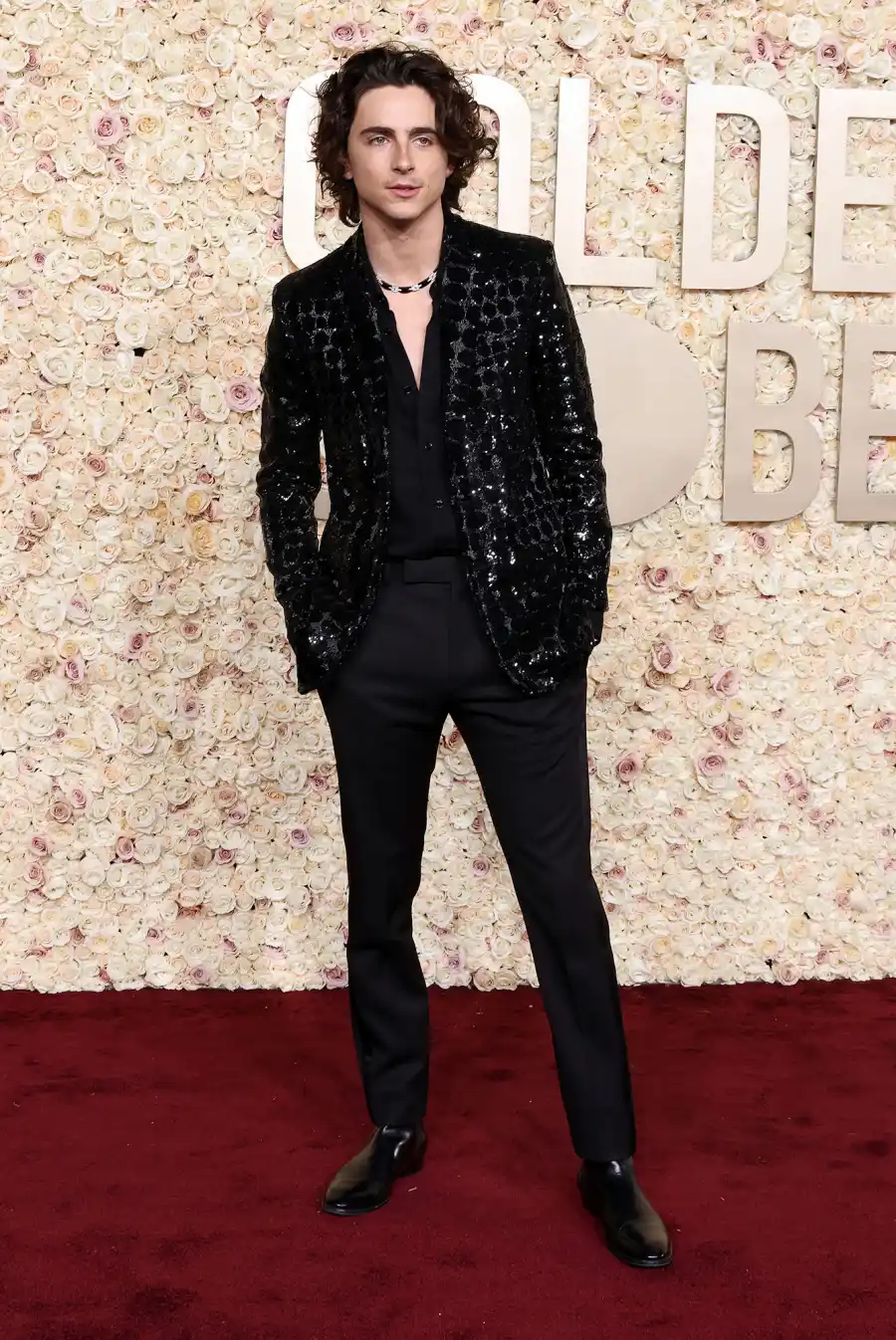 Timothee Chalamet Red Carpet Arrival Golden Globes 2024