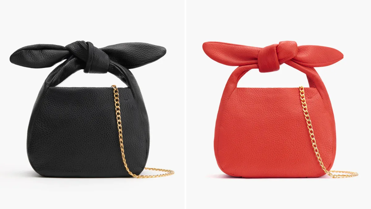 Cuyana Mini Bow Bag