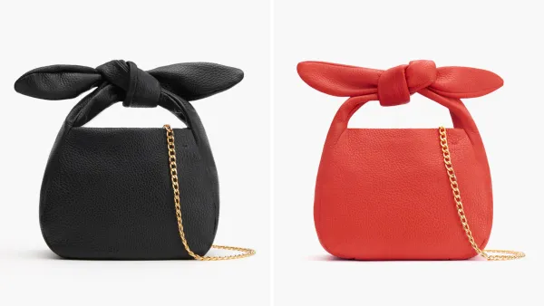 Cuyana Mini Bow Bag