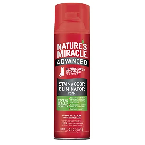 Best for Cat Stains: Nature’s Miracle Advanced Stain and Odor Eliminator for Severe Cat Messes