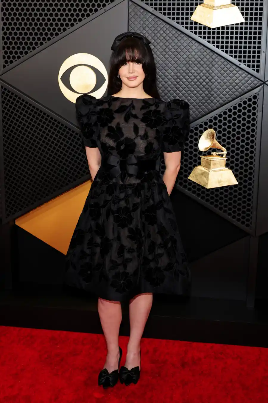 Grammys 2024 Red Carpet Arrivals